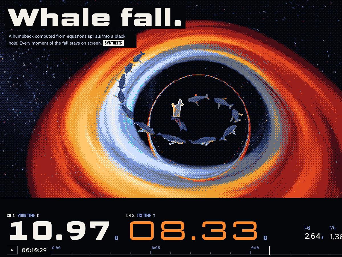 Flavor E: a humpback whale computed from equations spirals into a black hole whose lensed disk is traced live; its trail bunches up near the horizon.